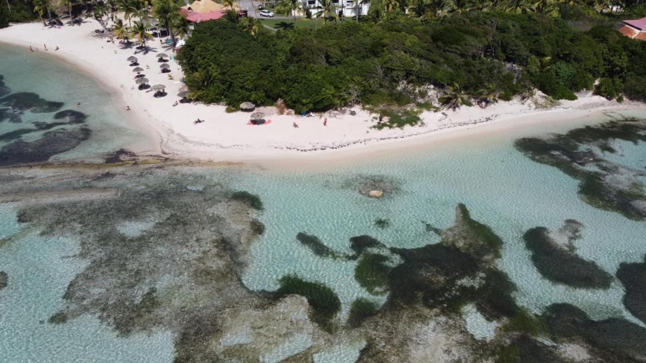 סן-פרנסואה Lelagon Vue Mer, Pieds Dans L'Eau מראה חיצוני תמונה